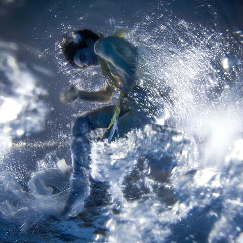 Transcending Species