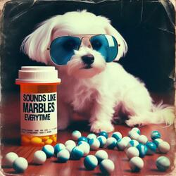 Sounds Like Marbles Everytime