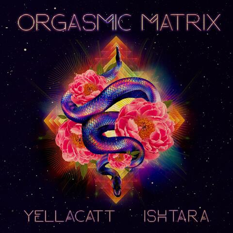 Orgasmic Matrix (feat. ISHTARA)