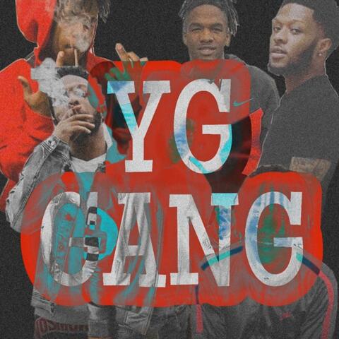 YG World
