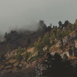 in the mist