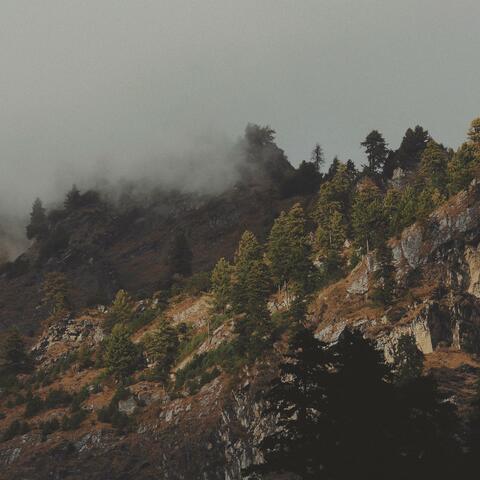 in the mist