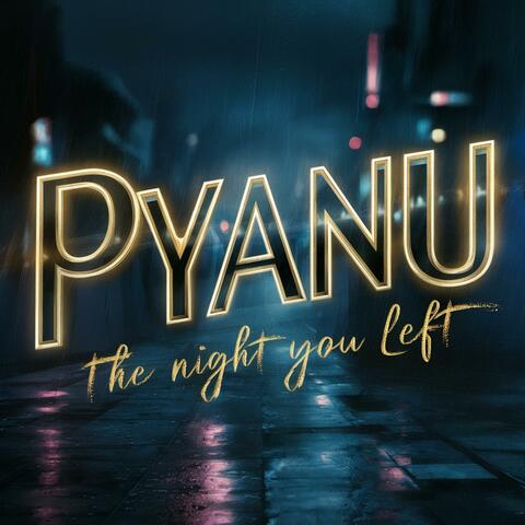 The Night You Left