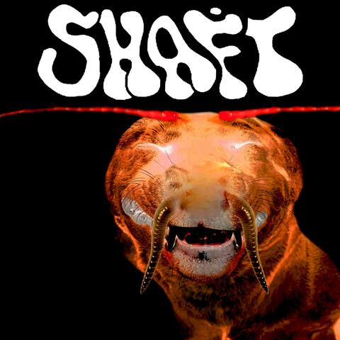 Just the SHAFT...