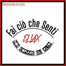 Fai ciò che Senti