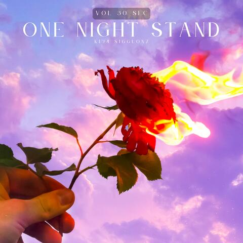 ONE NIGHT STAND