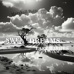 Sweet Dreams Last Wishes