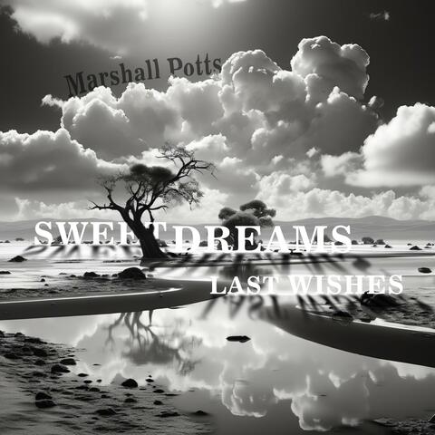 Sweet Dreams Last Wishes