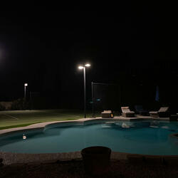 Before Birds (Larry)