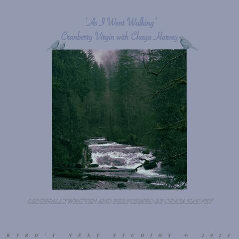 As I Went Walking (feat. Chaya Harvey)