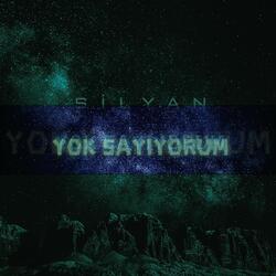 yok sayıyorum