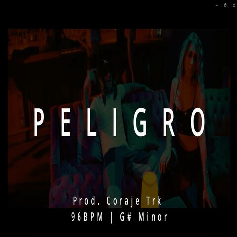 REGGAETON INSTRUMENTAL 2024 "PELIGRO" Type Beat