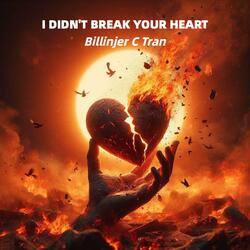 I didn't break your heart