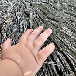 There's Galaxies Between Us