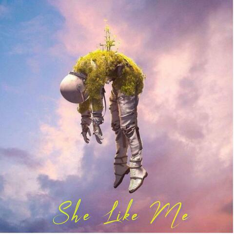 She Like Me (Radio Edit)