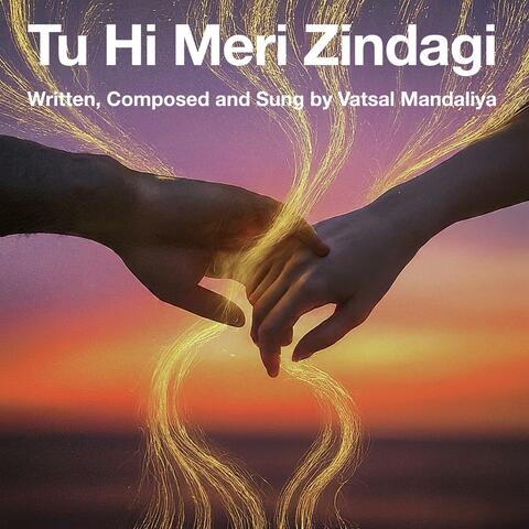Tu Hi Meri Zindagi