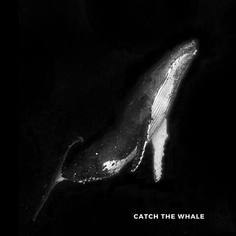 Catch The Whale