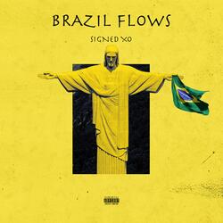 Brazil Flows