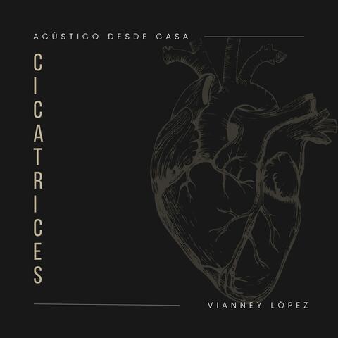 Cicatrices