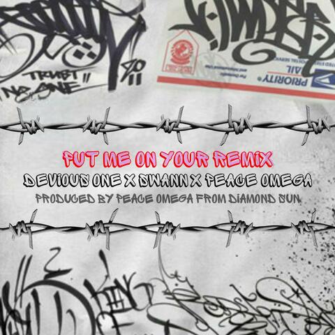PUT ME ON YOUR REMIX (feat. Swann & Peace Omega)