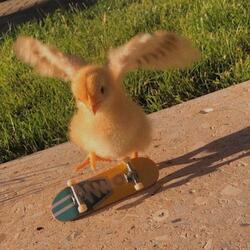 this that (skater flow)