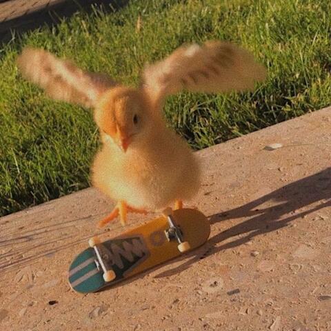 this that (skater flow)