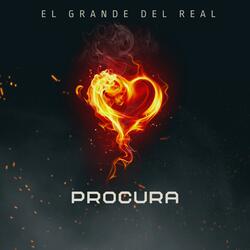 Procura