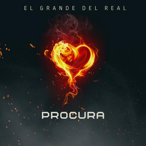 Procura