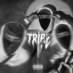 TRİBE