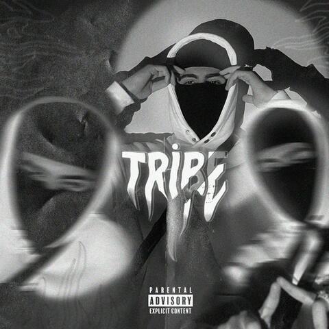 TRİBE