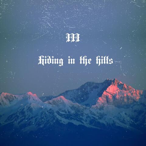 Hiding In The Hills