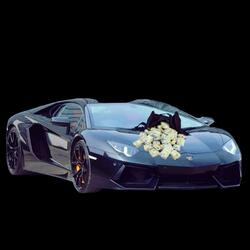 Bag N' Lambo