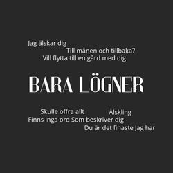 Bara Lögner