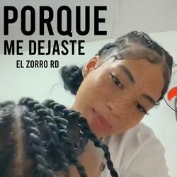 Porque Me Dejaste