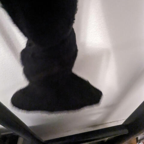 Lock in a cum sock
