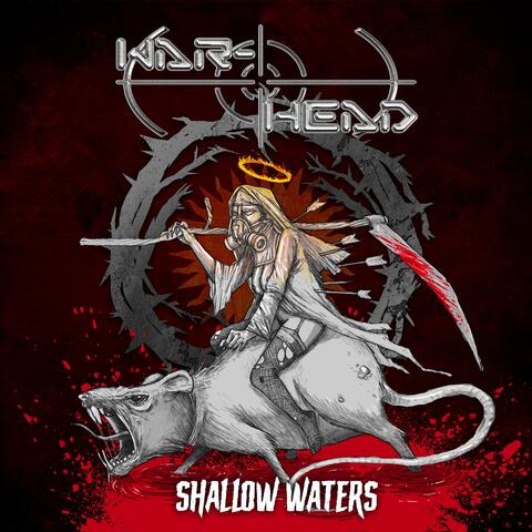 Shallow Waters