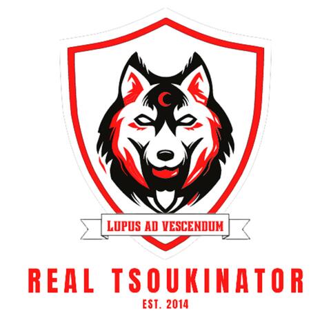 Real Tsoukinator (Theme Soundtrack Remixes)