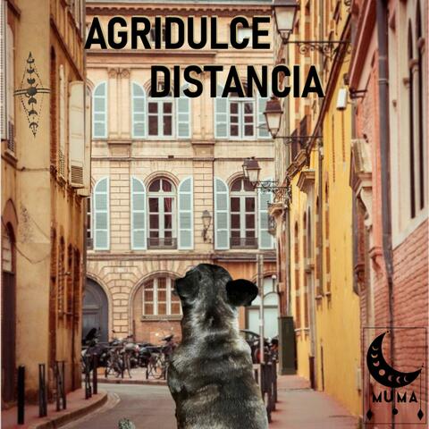 Agridulce distancia
