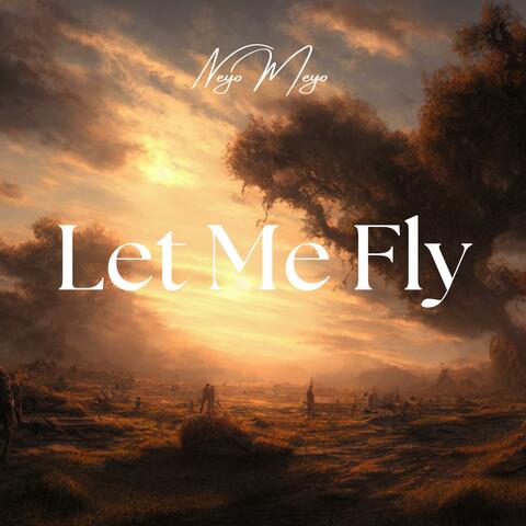 LET ME FLY