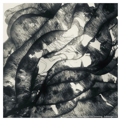 Among the Dreaming and the Drowning