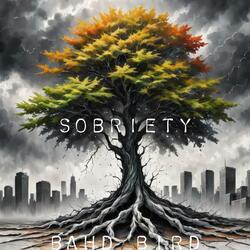 SOBRIETY