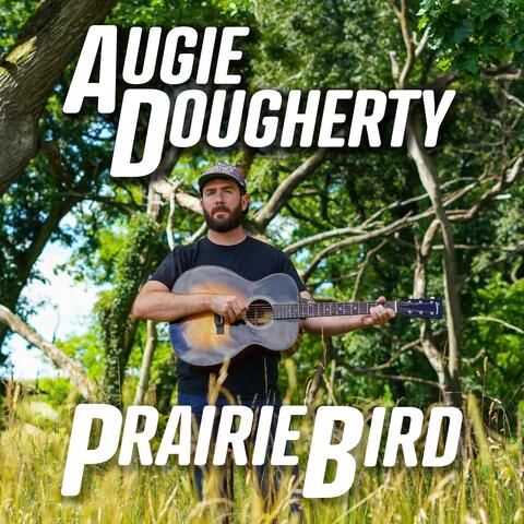 Prairie Bird
