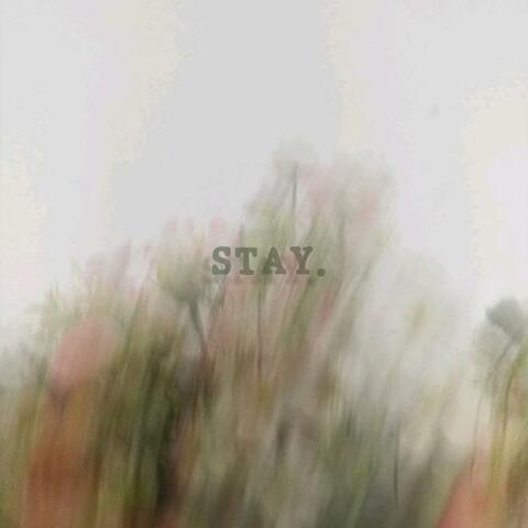STAY