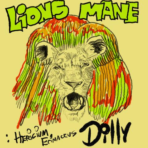 LiON'S MANE