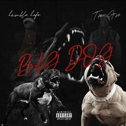 Big Dog (feat. Tsu Gz)