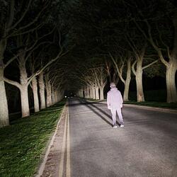 INTO THE NIGHT