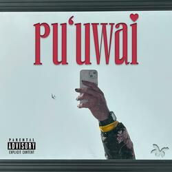 puʻuwai