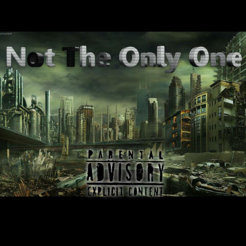 Not The Only One