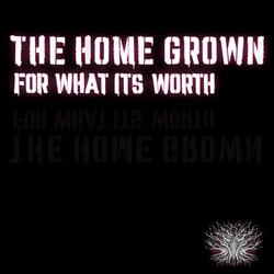 For What It's Worth