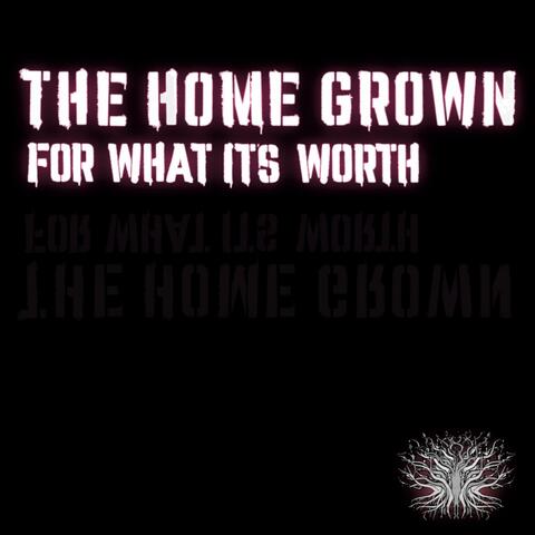 For What It's Worth